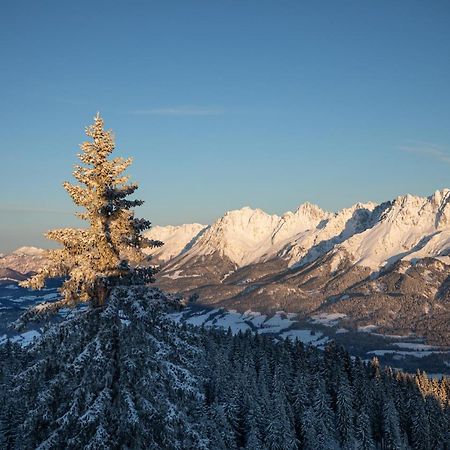 Das Stefan - Ferienwohnungen In Den Kitzbueheler Alpen Оберндорф  Экстерьер фото